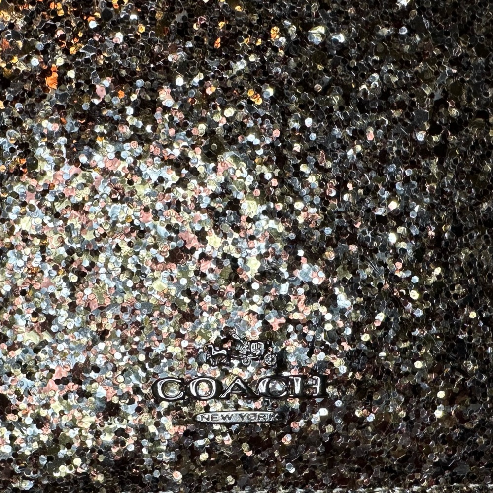 Coach passport holder - glitter